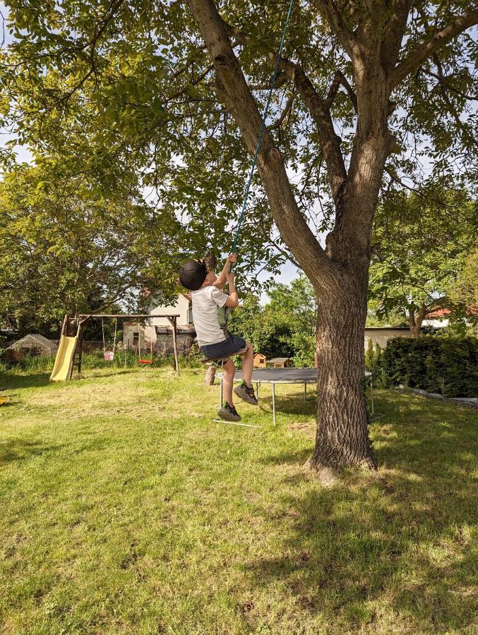 Ferienhaus Lausitz Lauta Buitenkant foto